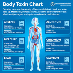 Heavy Metals Toxin Chart