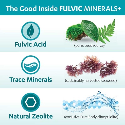 Fulvic Minerals +