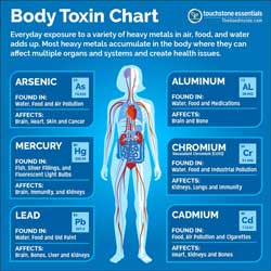 Body Toxin Chart