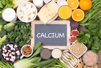 The Importance of Calcium and Phosphorous to the Body