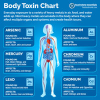 Heavy Metal Toxicity