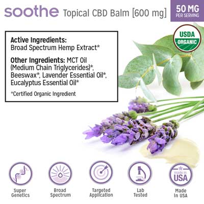 CBD Balm Ingredients