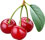 Acerola Cherry