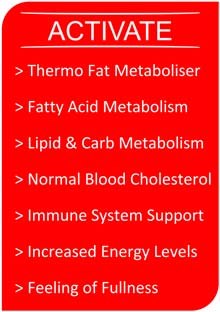 VIBE Activate Ketosis