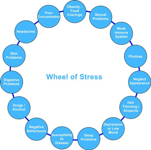 Wheel of Stress